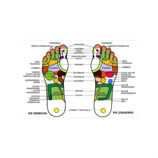 Reflexología Podal