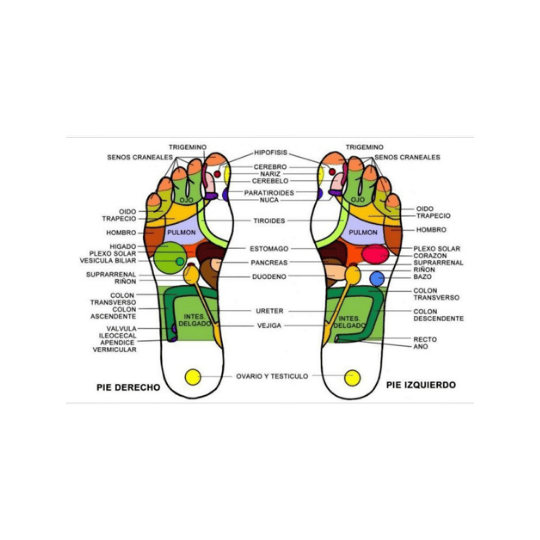 Imagen principal para el servicio: Reflexología Podal